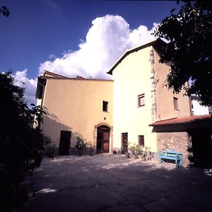 B&B Eridu